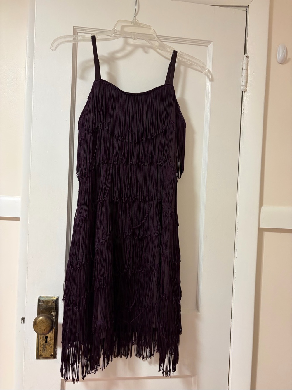 Women's Fringe Slip Dress - Deep Plum